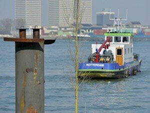 BOOMBOEIEN IN DE HAVEN